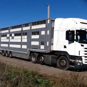 перевозка животных